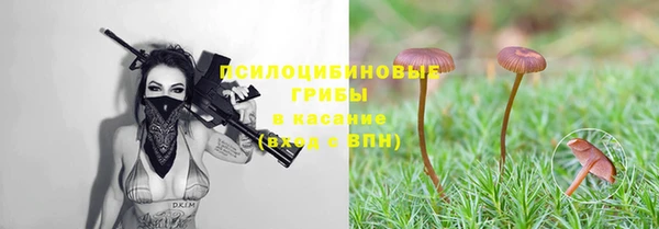 гашик Нягань