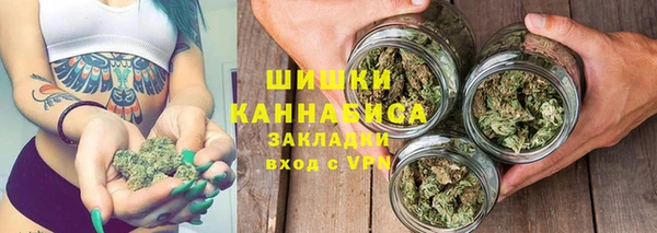 гашик Нягань
