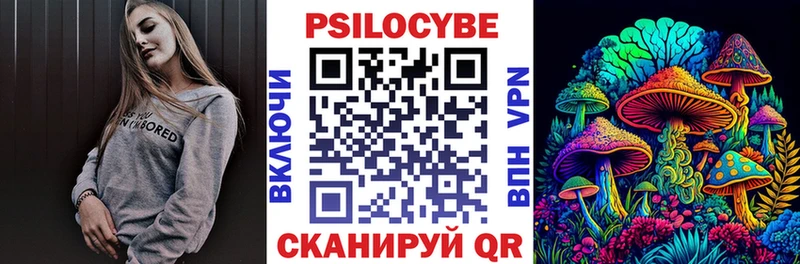 Купить закладки  Чернушка  Псилоцибиновые грибы Cubensis 