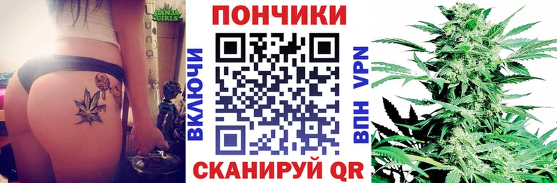 Купить  Чернушка  Бошки Шишки MAZAR 